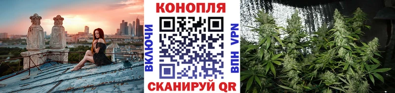 Бошки марихуана тримм  продажа наркотиков  дарк нет клад  Томилино 